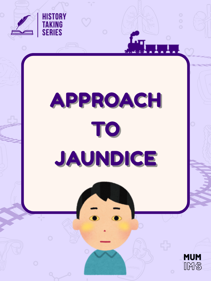 Approach to Jaundice Factsheet